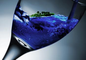 wino deserowe krakow